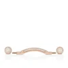 Chambelink Strass – Sko-smykker – Metal og Strass – Rosaguld Chambelink Strass – Sko-smykker – Metal og Strass – Rosaguld