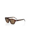 Kate Lb0026 – Solbriller – Acetat – Mørk Havana Kate Lb0026 – Solbriller – Acetat – Mørk Havana
