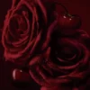 Rose Fatiche – Eau De Parfum 40 ml